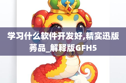 学习什么软件开发好,精实迅版莠品_解释版GFH5