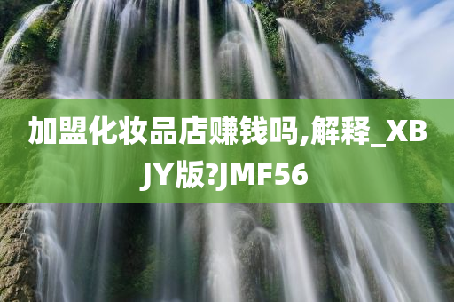 加盟化妆品店赚钱吗,解释_XBJY版?JMF56