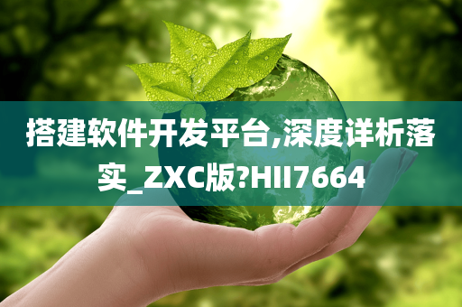 搭建软件开发平台,深度详析落实_ZXC版?HII7664