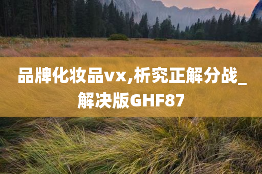 品牌化妆品vx,析究正解分战_解决版GHF87