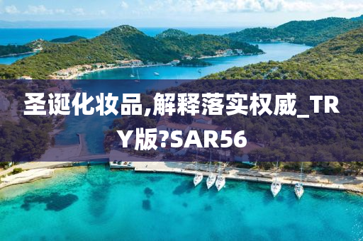 圣诞化妆品,解释落实权威_TRY版?SAR56