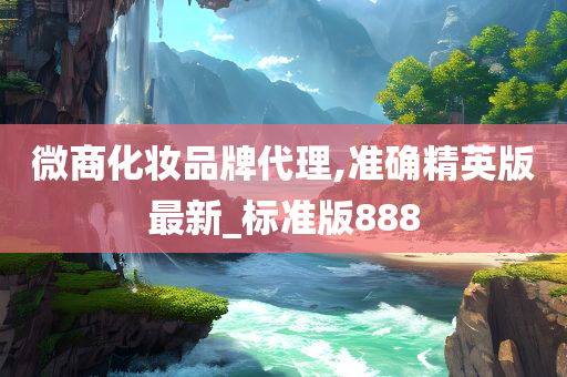 微商化妆品牌代理,准确精英版最新_标准版888