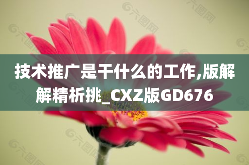 技术推广是干什么的工作,版解解精析挑_CXZ版GD676