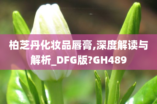 柏芝丹化妆品唇膏,深度解读与解析_DFG版?GH489