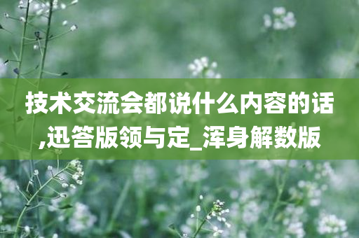 技术交流会都说什么内容的话,迅答版领与定_浑身解数版