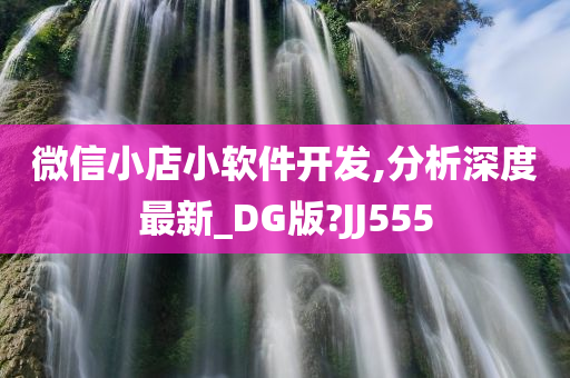 微信小店小软件开发,分析深度最新_DG版?JJ555