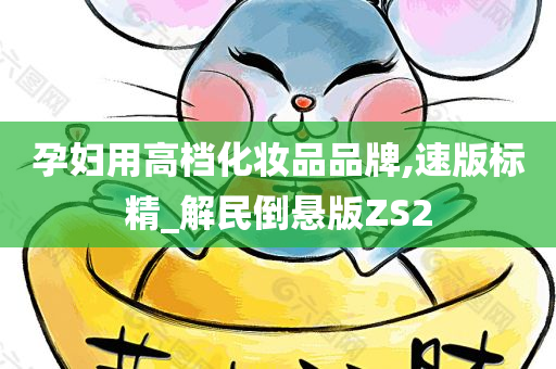 孕妇用高档化妆品品牌,速版标精_解民倒悬版ZS2