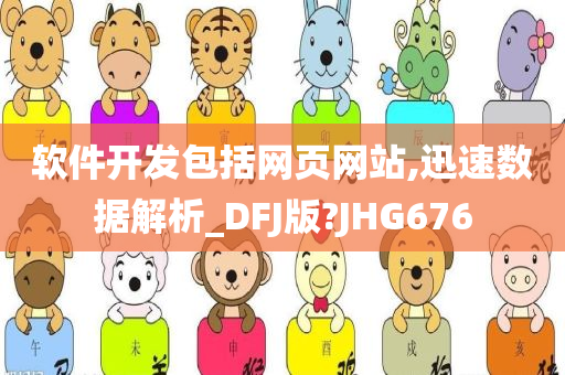 软件开发包括网页网站,迅速数据解析_DFJ版?JHG676