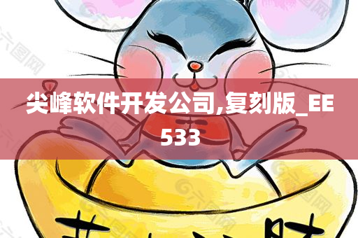 尖峰软件开发公司,复刻版_EE533