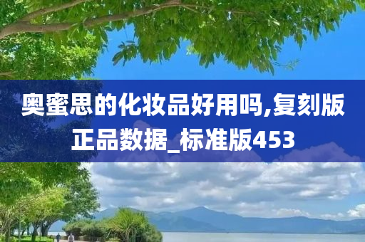 奥蜜思的化妆品好用吗,复刻版正品数据_标准版453