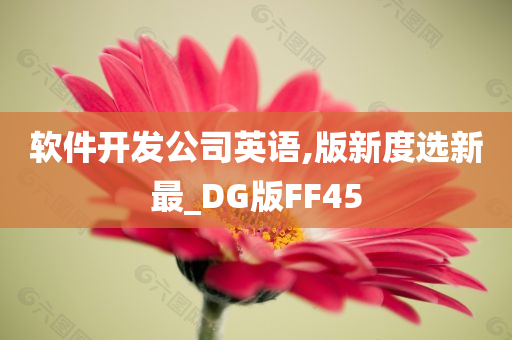 软件开发公司英语,版新度选新最_DG版FF45