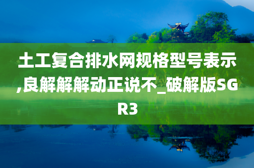 土工复合排水网规格型号表示,良解解解动正说不_破解版SGR3