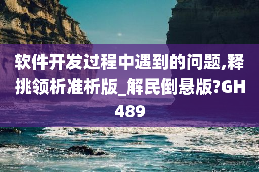 软件开发过程中遇到的问题,释挑领析准析版_解民倒悬版?GH489