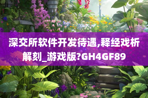 深交所软件开发待遇,释经戏析解刻_游戏版?GH4GF89