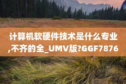 计算机软硬件技术是什么专业,不齐的全_UMV版?GGF7876