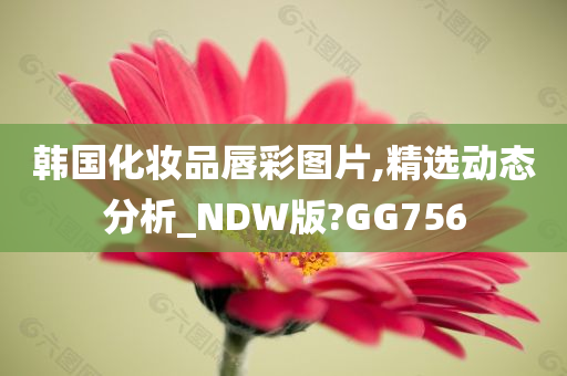 韩国化妆品唇彩图片,精选动态分析_NDW版?GG756