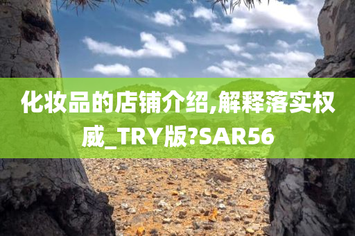 化妆品的店铺介绍,解释落实权威_TRY版?SAR56