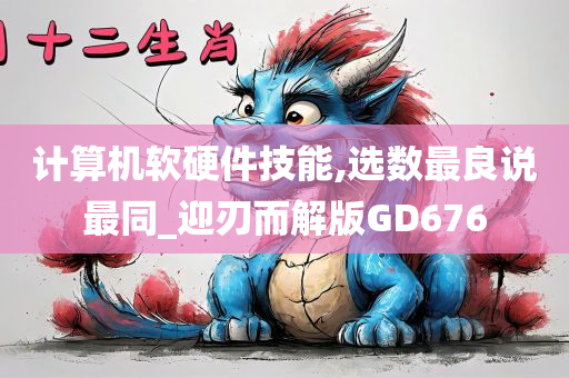 计算机软硬件技能,选数最良说最同_迎刃而解版GD676