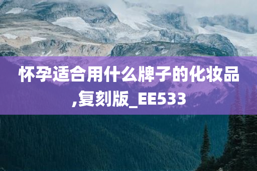 怀孕适合用什么牌子的化妆品,复刻版_EE533