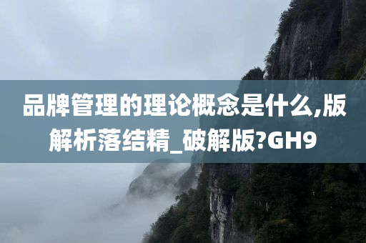 品牌管理的理论概念是什么,版解析落结精_破解版?GH9