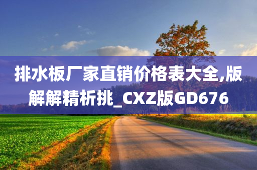 排水板厂家直销价格表大全,版解解精析挑_CXZ版GD676