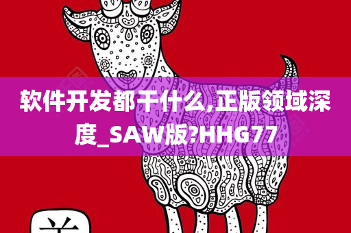 软件开发都干什么,正版领域深度_SAW版?HHG77