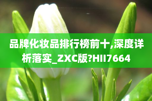 品牌化妆品排行榜前十,深度详析落实_ZXC版?HII7664