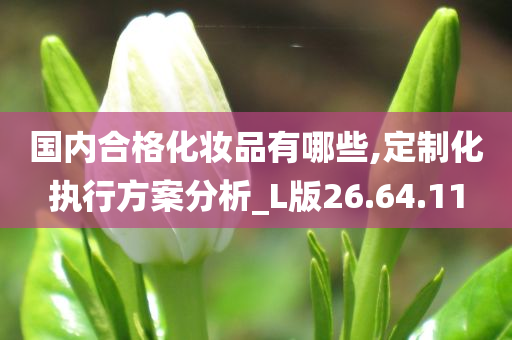 国内合格化妆品有哪些,定制化执行方案分析_L版26.64.11