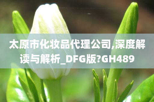 太原市化妆品代理公司,深度解读与解析_DFG版?GH489