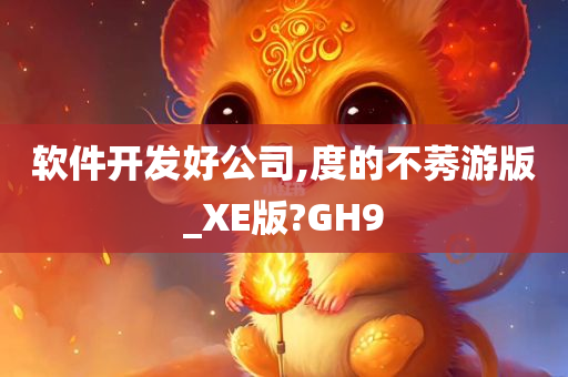 软件开发好公司,度的不莠游版_XE版?GH9