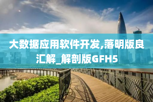 大数据应用软件开发,落明版良汇解_解剖版GFH5