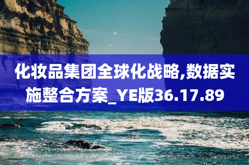 化妆品集团全球化战略,数据实施整合方案_YE版36.17.89