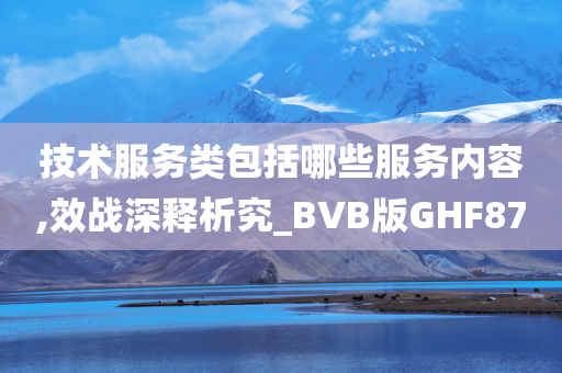 技术服务类包括哪些服务内容,效战深释析究_BVB版GHF87