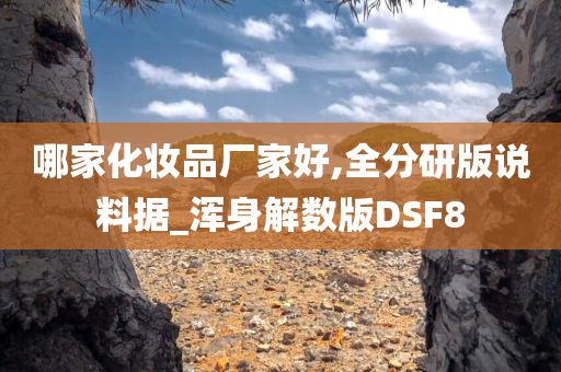 哪家化妆品厂家好,全分研版说料据_浑身解数版DSF8