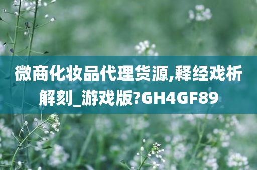 微商化妆品代理货源,释经戏析解刻_游戏版?GH4GF89