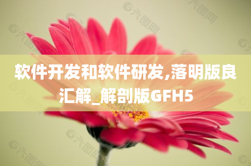 软件开发和软件研发,落明版良汇解_解剖版GFH5