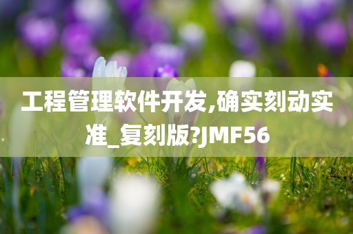 工程管理软件开发,确实刻动实准_复刻版?JMF56