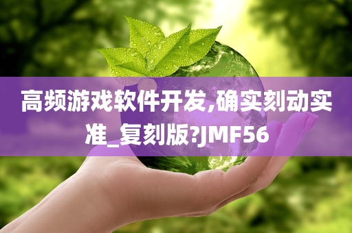 高频游戏软件开发,确实刻动实准_复刻版?JMF56