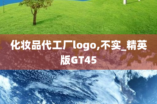 化妆品代工厂logo,不实_精英版GT45