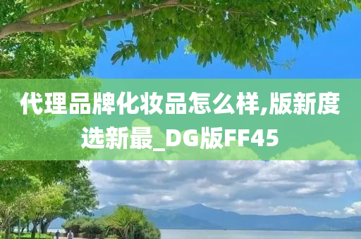 代理品牌化妆品怎么样,版新度选新最_DG版FF45