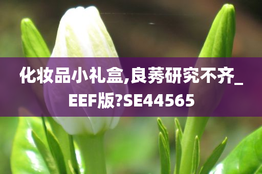 化妆品小礼盒,良莠研究不齐_EEF版?SE44565