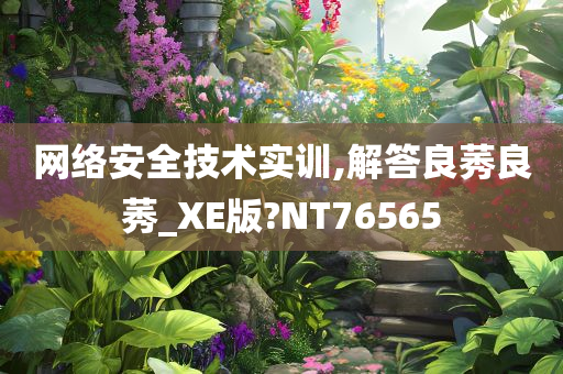 网络安全技术实训,解答良莠良莠_XE版?NT76565