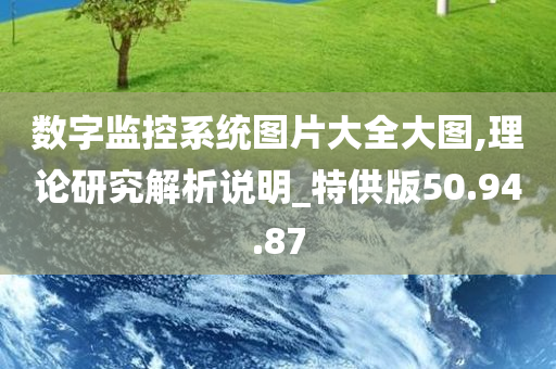 数字监控系统图片大全大图,理论研究解析说明_特供版50.94.87