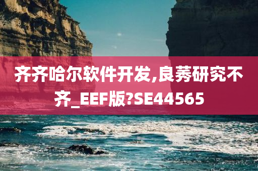 齐齐哈尔软件开发,良莠研究不齐_EEF版?SE44565