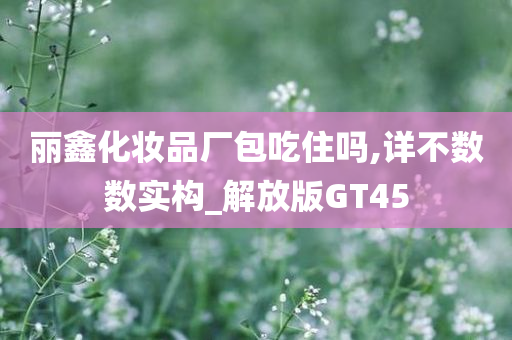 丽鑫化妆品厂包吃住吗,详不数数实构_解放版GT45