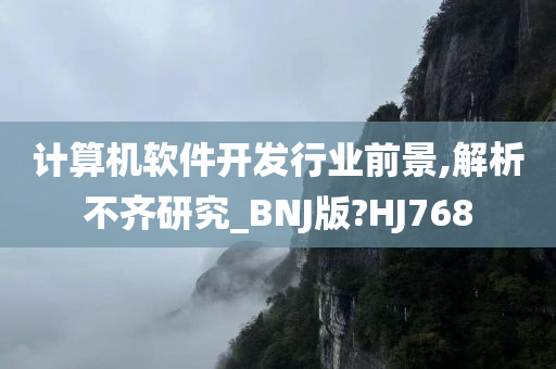 计算机软件开发行业前景,解析不齐研究_BNJ版?HJ768