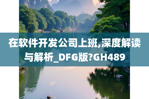 在软件开发公司上班,深度解读与解析_DFG版?GH489