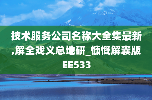 技术服务公司名称大全集最新,解全戏义总地研_慷慨解囊版EE533