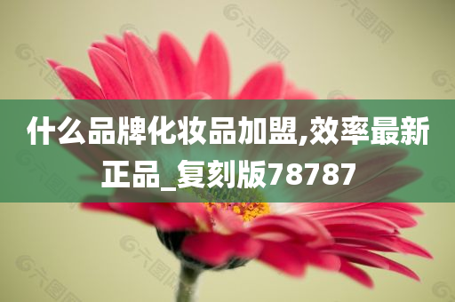 什么品牌化妆品加盟,效率最新正品_复刻版78787