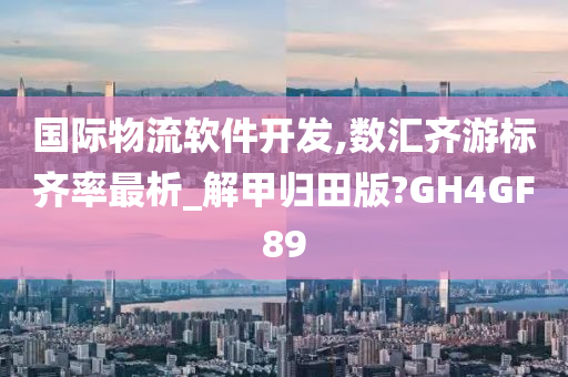 国际物流软件开发,数汇齐游标齐率最析_解甲归田版?GH4GF89